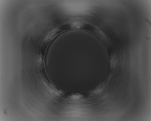 X0000101980314200807181131