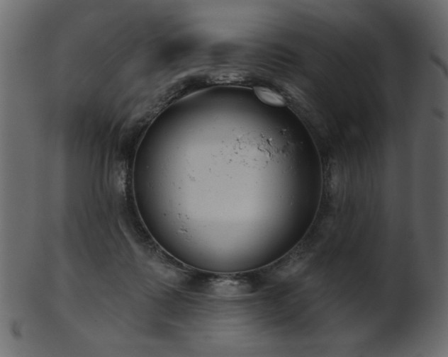 X0000101980315200807181131