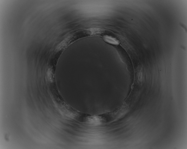 X0000101980316200807181131