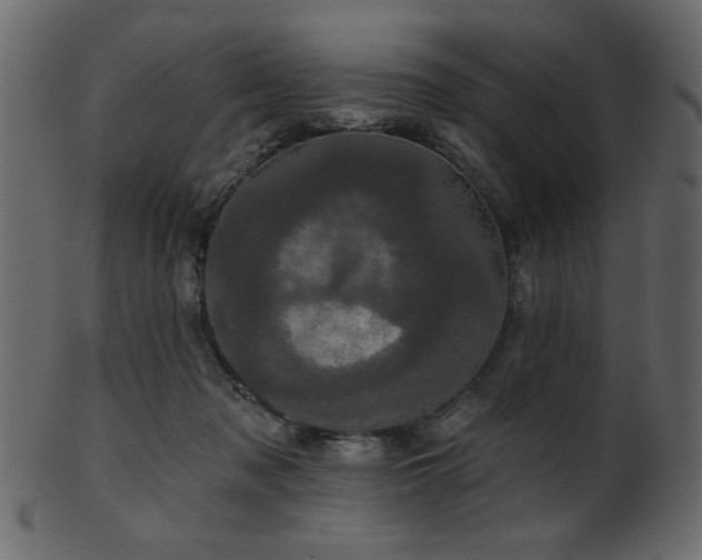 X0000101980317200807181131