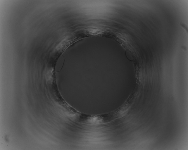 X0000101980319200807181131