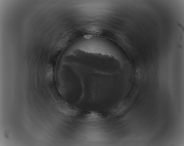 X0000101980320200807181131