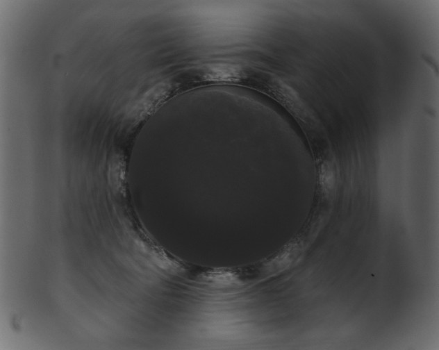 X0000101980322200807181131