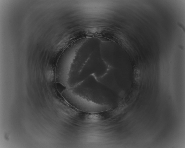 X0000101980324200807181131