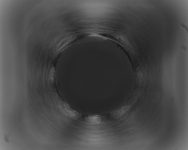 X0000101980325200807181131