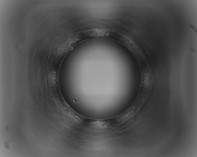 X0000101980326200807181130