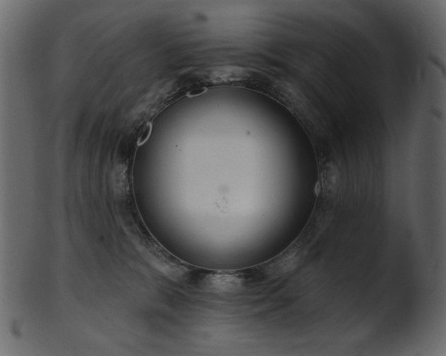 X0000101980327200807181130