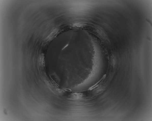 X0000101980328200807181130