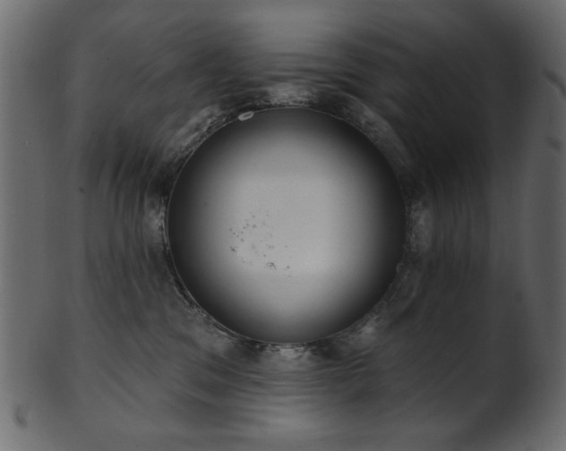 X0000101980329200807181130