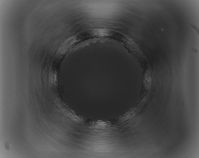 X0000101980330200807181130