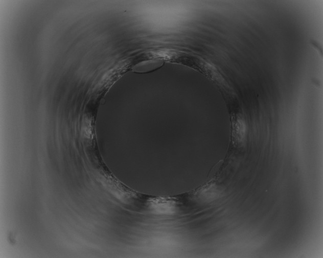 X0000101980331200807181130