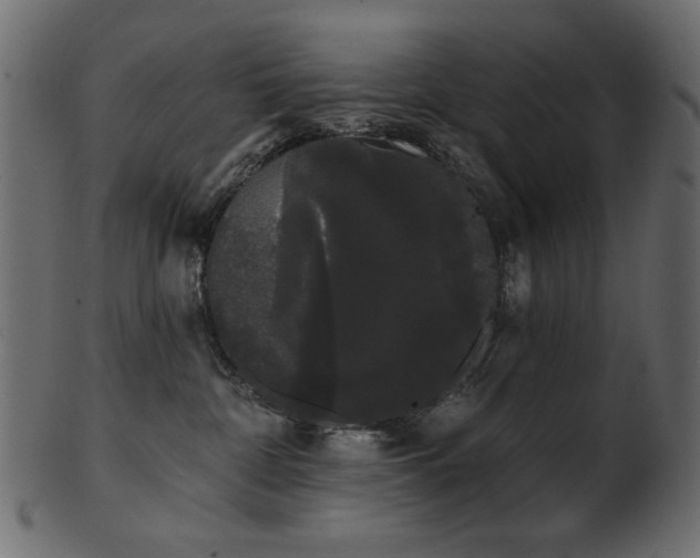 X0000101980332200807181130