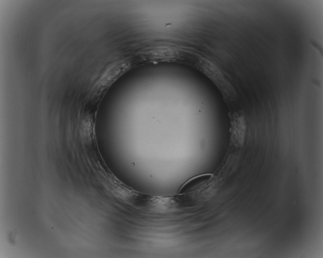 X0000101980333200807181130