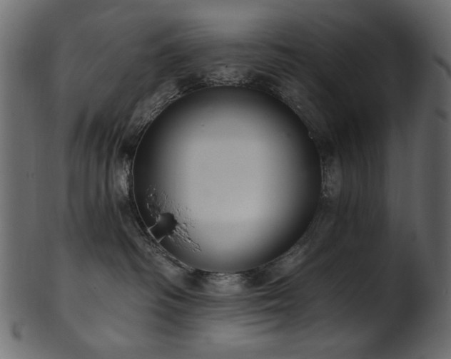 X0000101980334200807181130