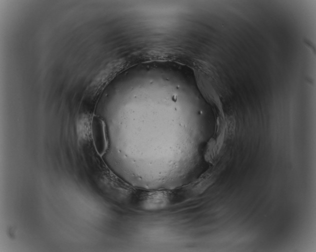 X0000101980335200807181130