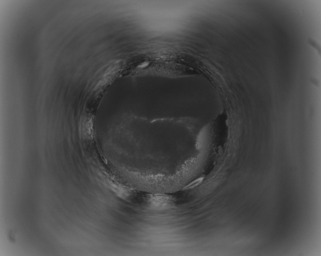 X0000101980336200807181130