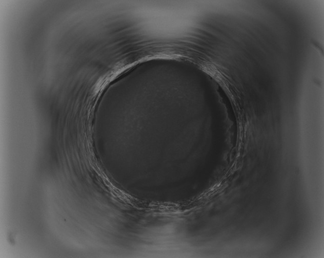 X0000101980337200807181130