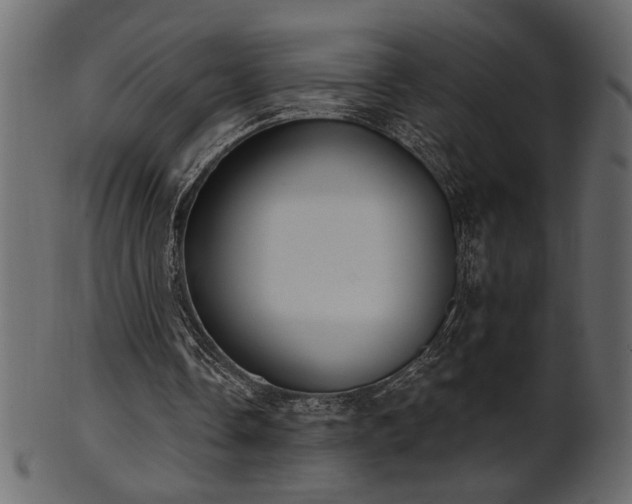 X0000101980338200807181130