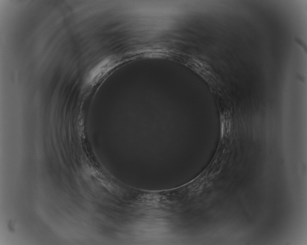 X0000101980339200807181130