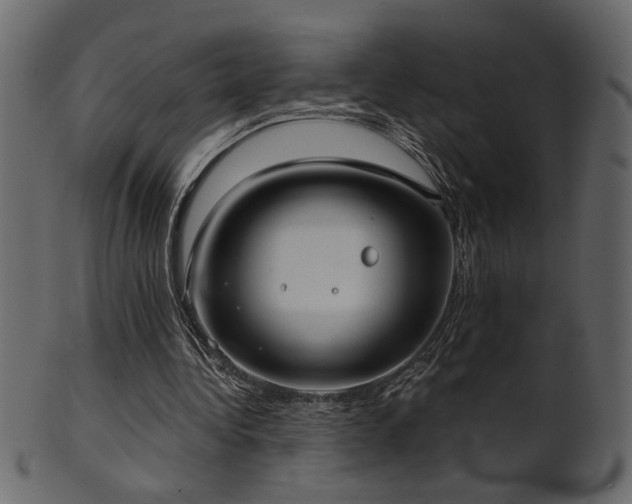 X0000101980340200807181130