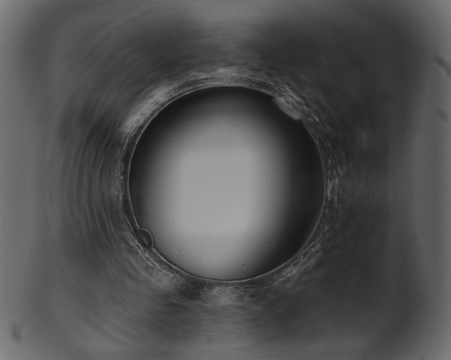 X0000101980341200807181130