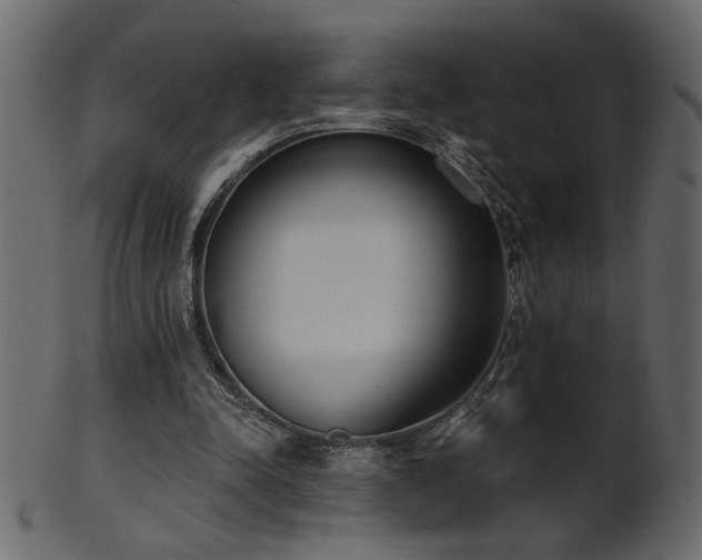 X0000101980342200807181130