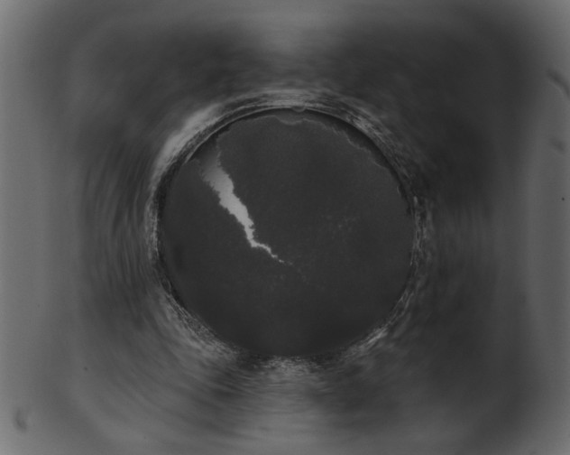 X0000101980343200807181130