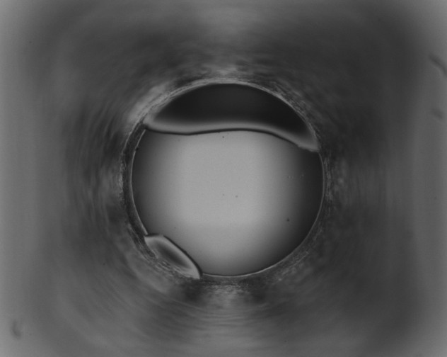 X0000101980344200807181130