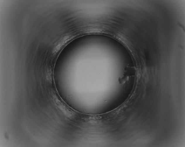 X0000101980345200807181130