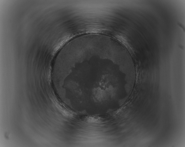 X0000101980346200807181130