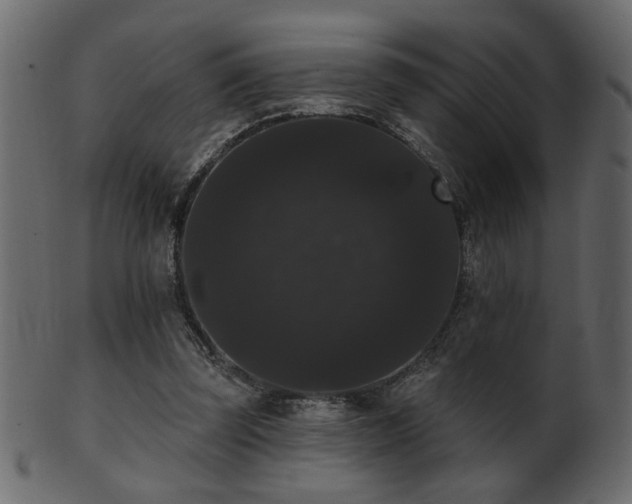 X0000101980347200807181130