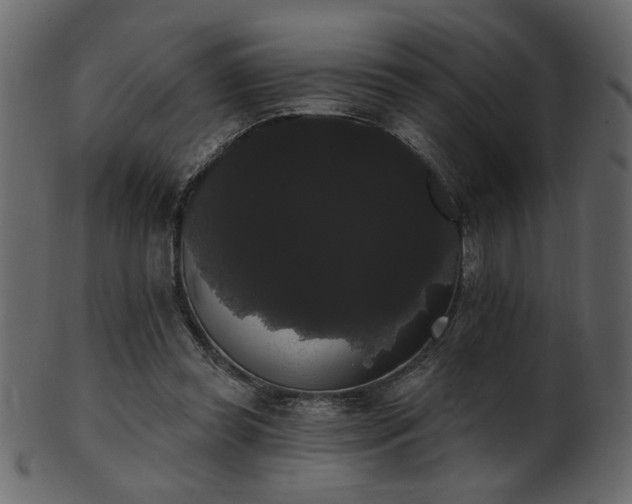 X0000101980349200807181130