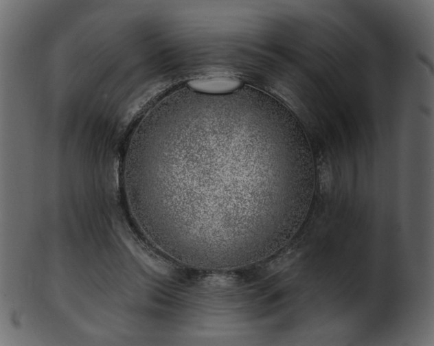 X0000101980350200807181130