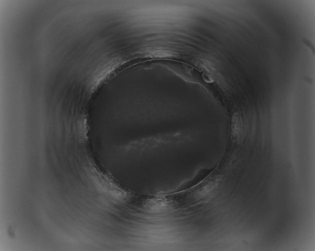 X0000101980351200807181130