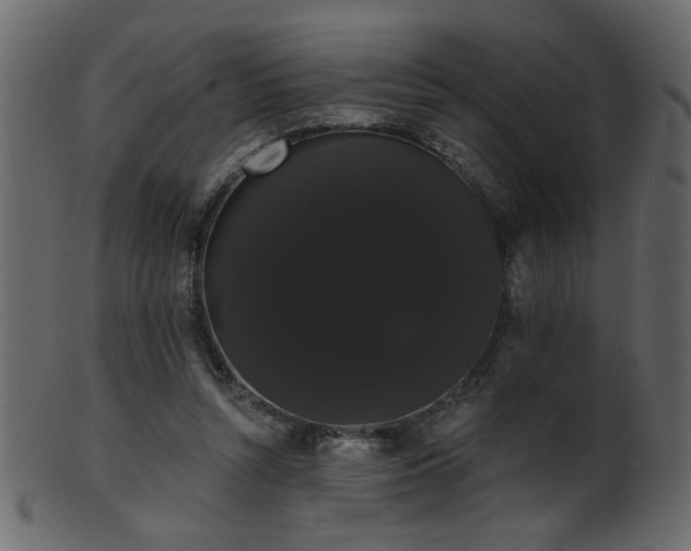 X0000101980352200807181130