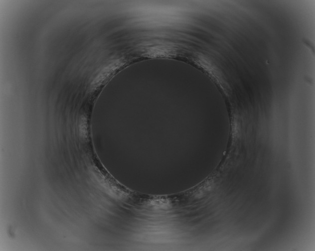 X0000101980353200807181130