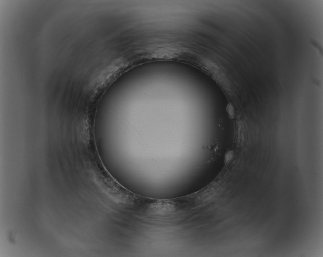 X0000101980354200807181130