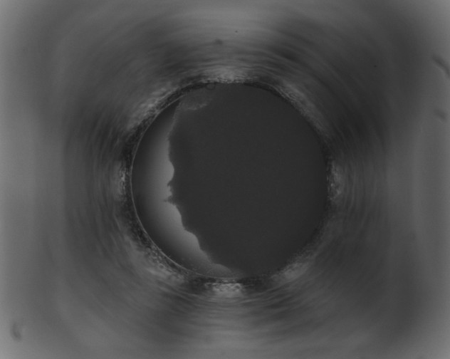 X0000101980355200807181130