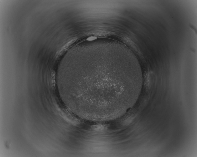 X0000101980356200807181130