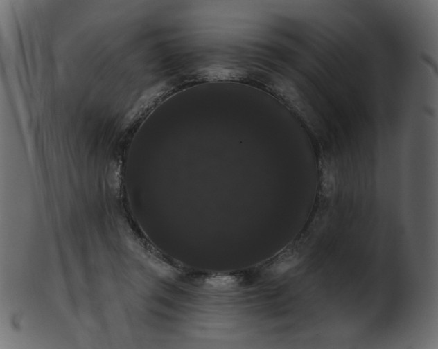 X0000101980357200807181130