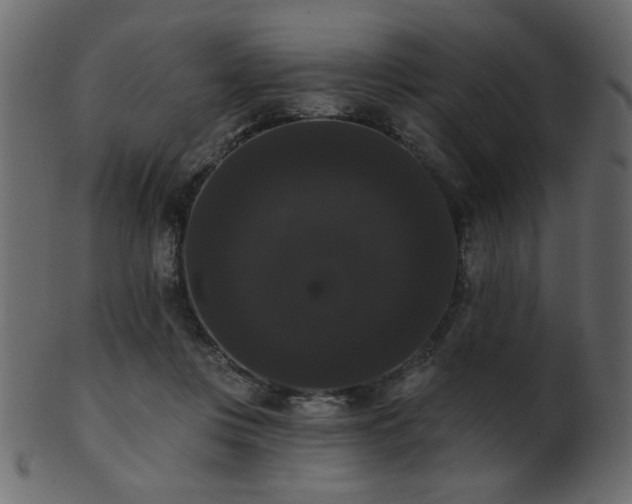 X0000101980359200807181130