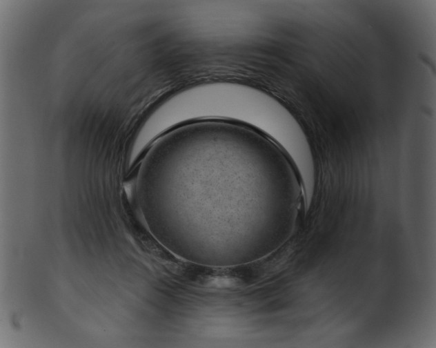 X0000101980360200807181130