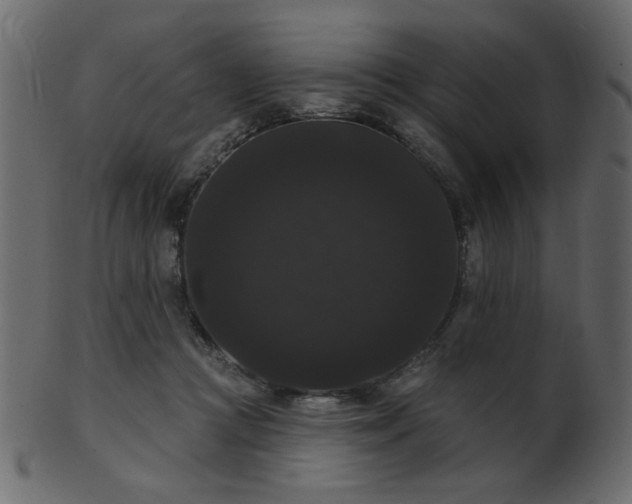 X0000101980361200807181130