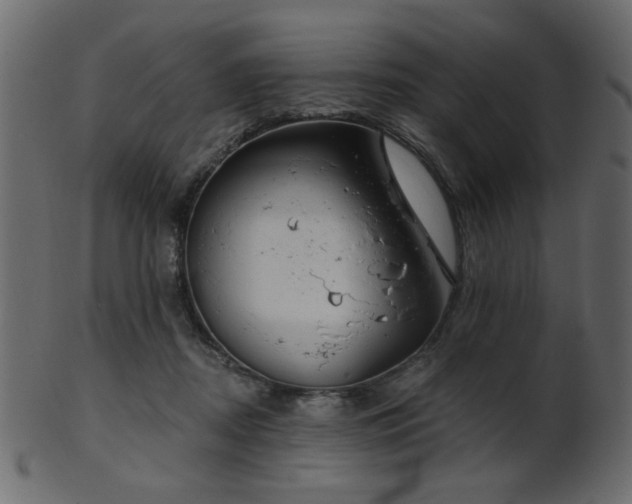 X0000101980362200807181130