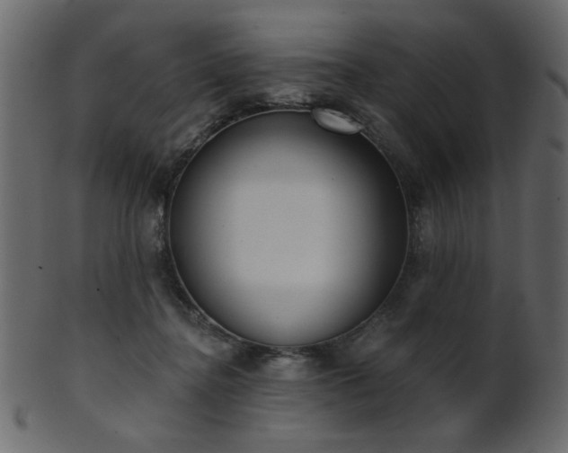 X0000101980364200807181130