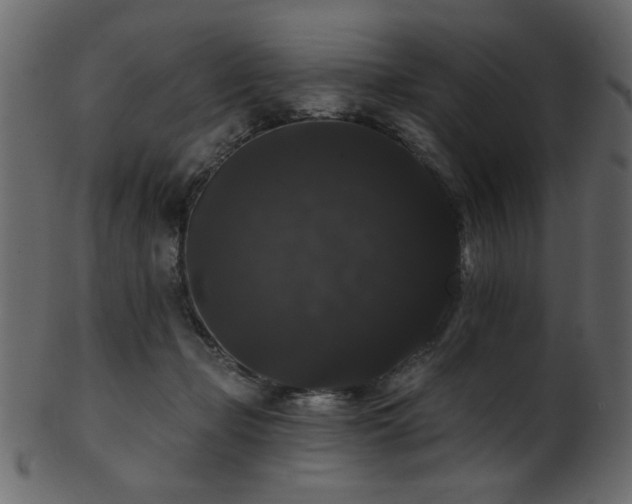 X0000101980365200807181130