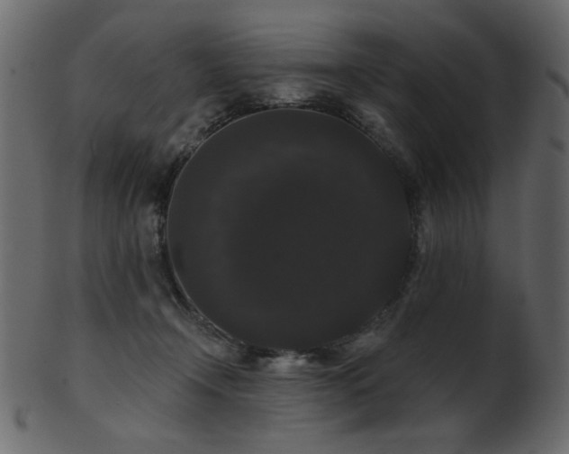 X0000101980366200807181130