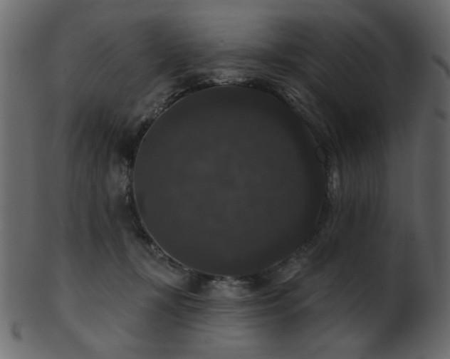 X0000101980367200807181130