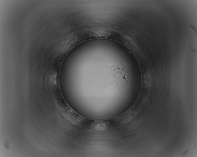 X0000101980368200807181130