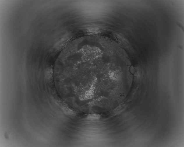 X0000101980369200807181130